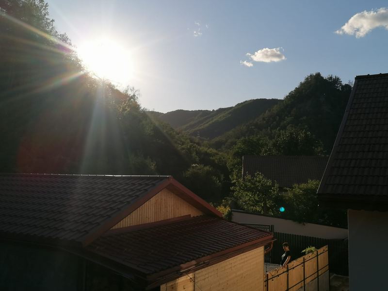 Peisaj din curte